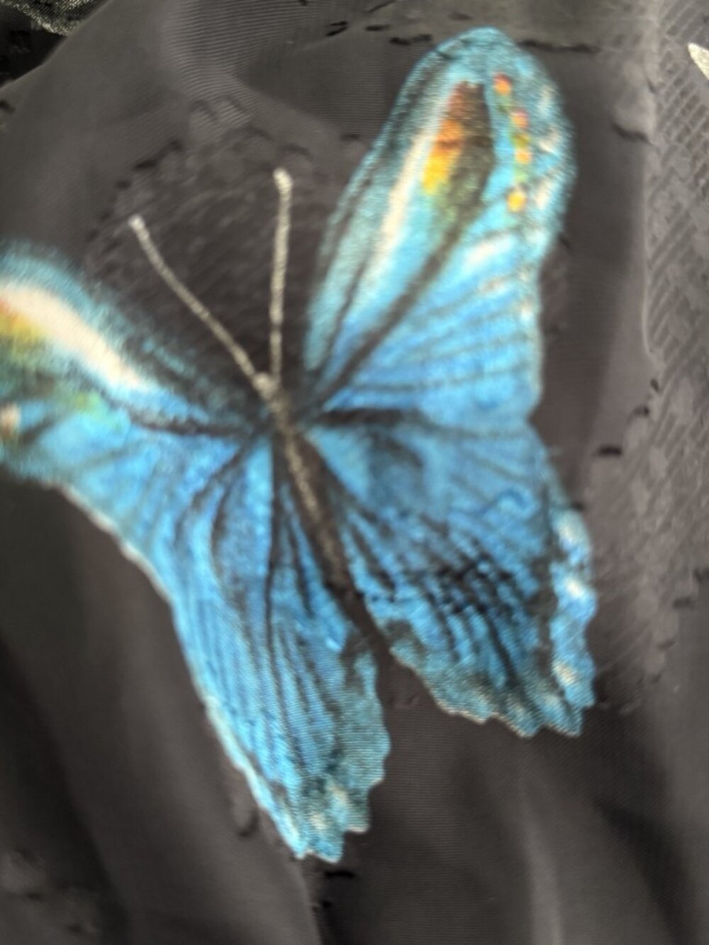 NEW Gracia M Floral Butterfly Peplum Blouse Top Black Blue Puff Sleeve MEDIUM - Picture 3 of 6